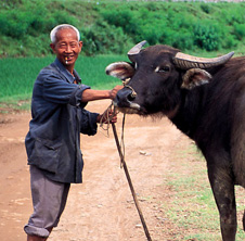 小型飼料顆粒機,農(nóng)民圓夢！